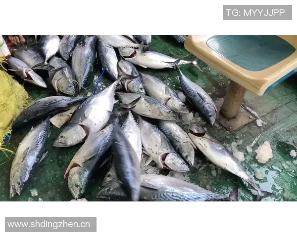 拉什福德分享海钓乐趣笑容灿烂展现多彩业余生活 拉什福德分享海钓乐趣笑容灿烂展现多彩业余生活