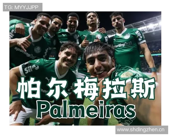 阿媒报道帕尔梅拉斯欲以2000万欧元收购阿尔马达50股份