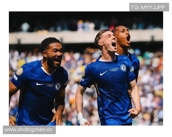 切尔西中卫短缺与迪萨西无关太阳报称球队彻底弃用他